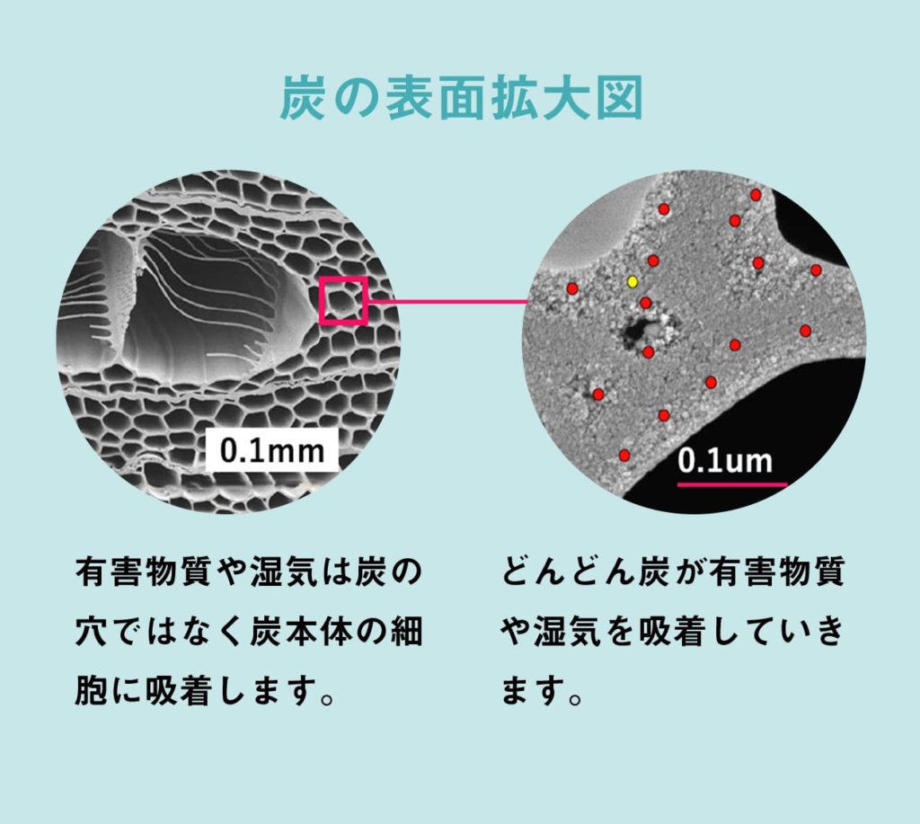 炭の表面拡大図