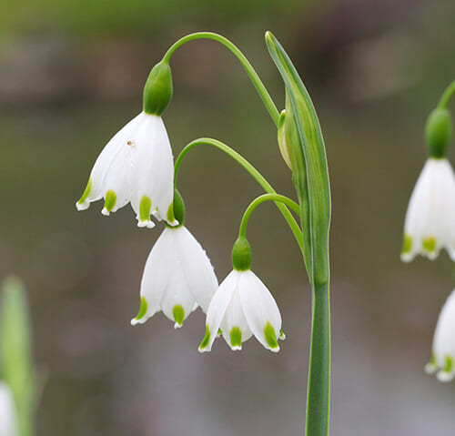 業者さんとのヒトコマ